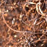 قیمت ضایعات مس تهران | ✅فروش با بالاترین نرخ روز 1404 بهترین قیمت ضایعات مس تهران | ✅فروش با بالاترین نرخ روز 1404