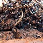 قیمت انواع ضایعات | 💵بالاترین نرخ خرید بازار (مهر1404) قیمت انواع ضایعات | 💵بالاترین نرخ خرید بازار (مهر1404)